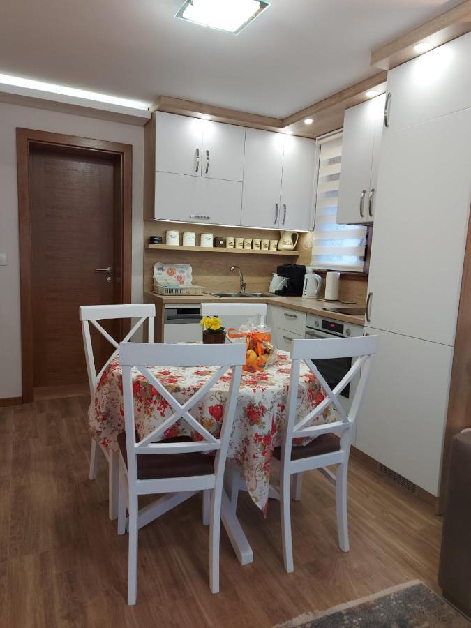 Apartmani Nik Lux Vrnjačka Banja Extérieur photo